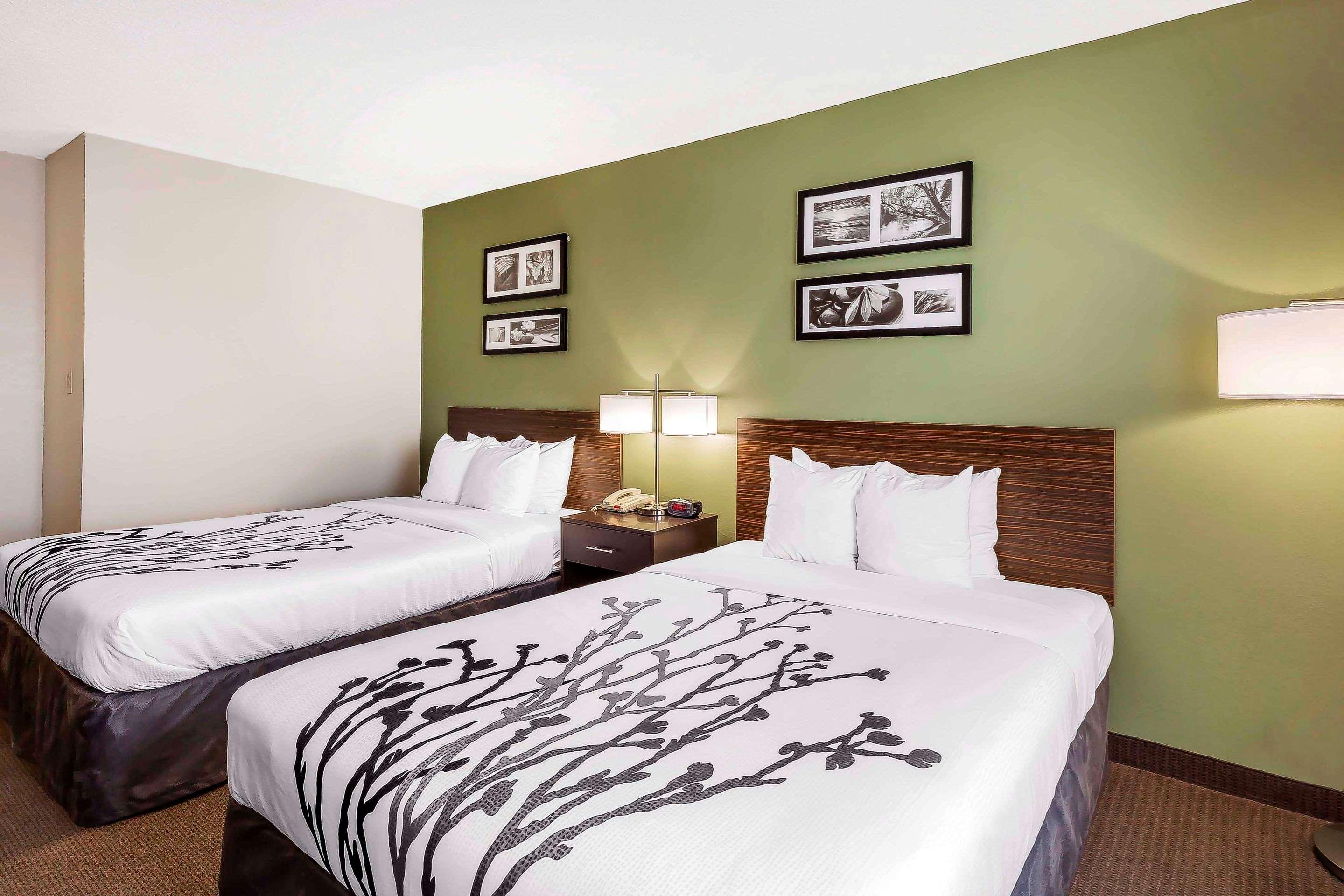 ג'סאפ Sleep Inn Columbia Gateway מראה חיצוני תמונה