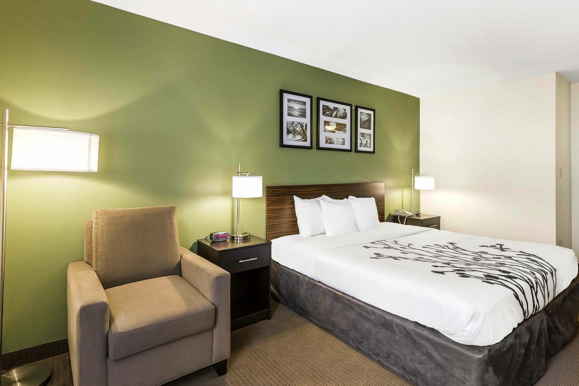 ג'סאפ Sleep Inn Columbia Gateway מראה חיצוני תמונה
